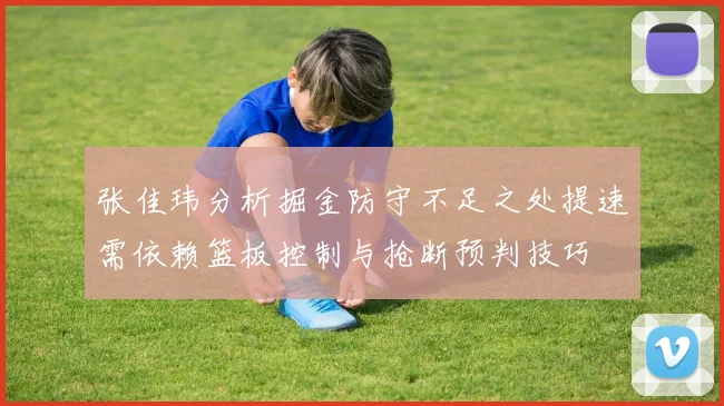 张佳玮分析掘金防守不足之处提速需依赖篮板控制与抢断预判技巧