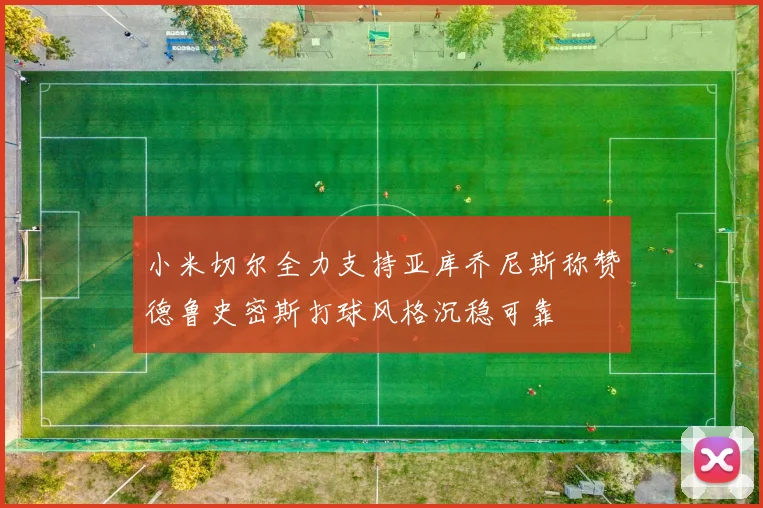 小米切尔全力支持亚库乔尼斯称赞德鲁史密斯打球风格沉稳可靠